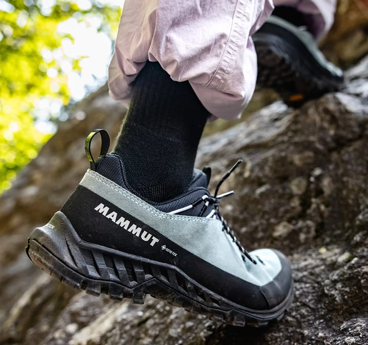 Mammut